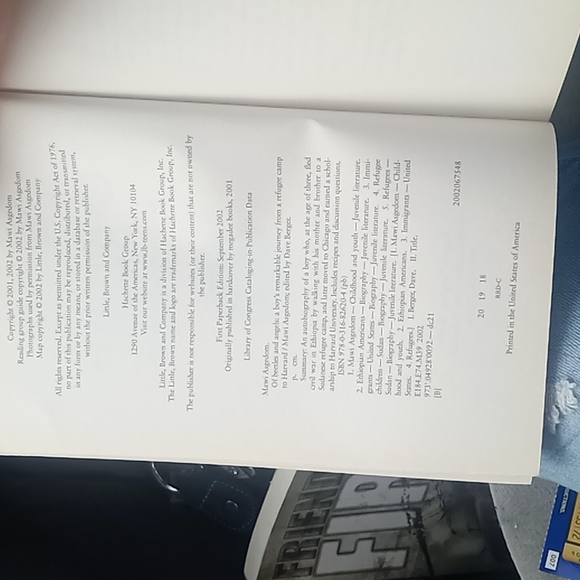 Book of beetles & angels - Picture 4 of 4